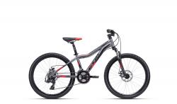 CTM ROCKY 3.0, 24"