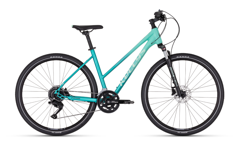 Kellys Pheebe 50 28