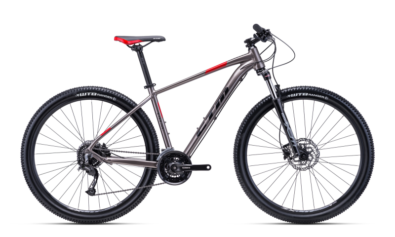 CTM 2022 29" RAMBLER 1.0 