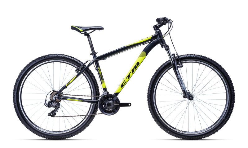 CTM REIN 1.0, 2022, 29" 